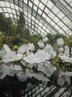 Gardens by the Bay - Cloud Forest 4 &ndash; &copy; Mariele Legler (Eberhardt TRAVEL)
