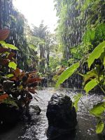 Gardens by the Bay - Cloud Forest 5 &ndash; &copy; Mariele Legler (Eberhardt TRAVEL)