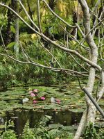 Eisvogel in den Gardens by the Bay &ndash; &copy; Mariele Legler (Eberhardt TRAVEL)
