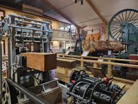 Kauri Museum &ndash; &copy; Mariele Legler (Eberhardt TRAVEL)