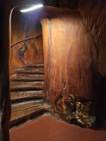 Treppe im Kauri Baum &ndash; &copy; Mariele Legler (Eberhardt TRAVEL)
