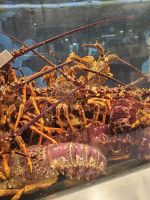 Mittagspause im Fischmarkt in Auckland &ndash; &copy; Mariele Legler (Eberhardt TRAVEL)