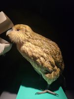 &copy; Mariele Legler (Eberhardt TRAVEL)