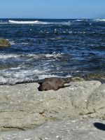 &copy; Mariele Legler (Eberhardt TRAVEL)