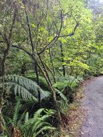 &copy; Mariele Legler (Eberhardt TRAVEL)