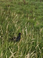 &copy; Mariele Legler (Eberhardt TRAVEL)