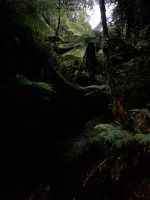 &copy; Mariele Legler (Eberhardt TRAVEL)