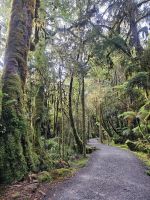 &copy; Mariele Legler (Eberhardt TRAVEL)