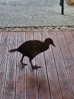 &copy; Mariele Legler (Eberhardt TRAVEL)