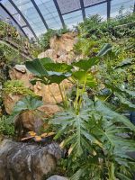 &copy; Mariele Legler (Eberhardt TRAVEL)