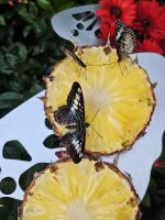 &copy; Mariele Legler (Eberhardt TRAVEL)