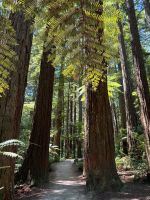 IMG-20260201-WA0017.jpg &ndash; &copy; Mariele Legler (Eberhardt TRAVEL)