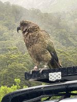 IMG-20260207-WA0026.jpg &ndash; &copy; Mariele Legler (Eberhardt TRAVEL)