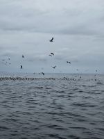 &copy; Mariele Legler (Eberhardt TRAVEL)