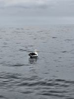 &copy; Mariele Legler (Eberhardt TRAVEL)