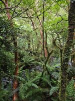 &copy; Mariele Legler (Eberhardt TRAVEL)