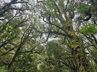 &copy; Mariele Legler (Eberhardt TRAVEL)