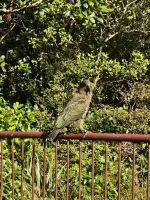 &copy; Mariele Legler (Eberhardt TRAVEL)