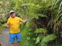 Michael erklärt Neuseeländische Flora