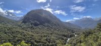 228 Auf dem Weg zum Milford Sound