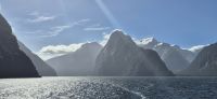 237 Milford Sound