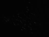 Glühwürmchen in der Ruakuri-Höhle  &ndash; &copy; Monika Cortese (Eberhardt TRAVEL)