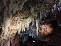 Ruakuri Cave &ndash; &copy; Monika Cortese (Eberhardt TRAVEL)