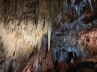 Ruakuri Cave &ndash; &copy; Monika Cortese (Eberhardt TRAVEL)