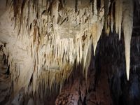Ruakuri Cave &ndash; &copy; Monika Cortese (Eberhardt TRAVEL)
