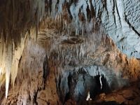 Ruakuri Cave &ndash; &copy; Monika Cortese (Eberhardt TRAVEL)