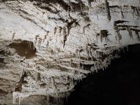 Ruakuri Cave &ndash; &copy; Monika Cortese (Eberhardt TRAVEL)