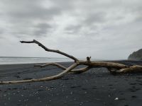 Vulkanischer Strand an der Westküste  &ndash; &copy; Monika Cortese (Eberhardt TRAVEL)