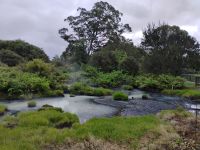 Kuirau Park, Rotorua  &ndash; &copy; Monika Cortese (Eberhardt TRAVEL)
