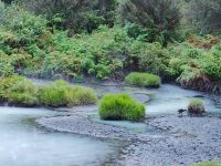 Kuirau Park, Rotorua  &ndash; &copy; Monika Cortese (Eberhardt TRAVEL)