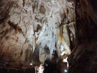Ruakuri Cave &ndash; &copy; Monika Cortese (Eberhardt TRAVEL)
