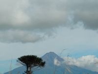 Mount Taranaki (Mount Egmont)  &ndash; &copy; Monika Cortese (Eberhardt TRAVEL)