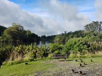 Mount Egmont hinter den Wolken  &ndash; &copy; Monika Cortese (Eberhardt TRAVEL)