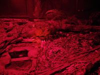 Finde den Kiwi! &ndash; &copy; Monika Cortese (Eberhardt TRAVEL)