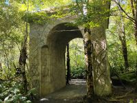 Kaitoke Regional Park &ndash; &copy; Monika Cortese (Eberhardt TRAVEL)