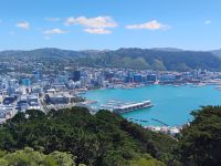 Blick vom Mount Victoria  &ndash; &copy; Monika Cortese (Eberhardt TRAVEL)