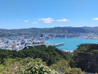 Blick vom Mount Victoria  &ndash; &copy; Monika Cortese (Eberhardt TRAVEL)