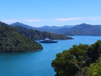 Queen Victoria Lookout bei Picton  &ndash; &copy; Monika Cortese (Eberhardt TRAVEL)