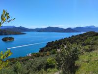 Queen Victoria Lookout bei Picton  &ndash; &copy; Monika Cortese (Eberhardt TRAVEL)