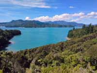Kenepuru Sound  &ndash; &copy; Monika Cortese (Eberhardt TRAVEL)
