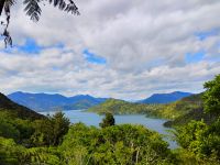 Wanderung auf dem Queen Charlotte Track  &ndash; &copy; Monika Cortese (Eberhardt TRAVEL)