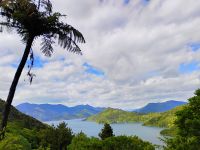 Wanderung auf dem Queen Charlotte Track  &ndash; &copy; Monika Cortese (Eberhardt TRAVEL)