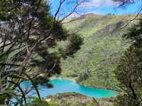 Wanderung auf dem Queen Charlotte Track  &ndash; &copy; Monika Cortese (Eberhardt TRAVEL)