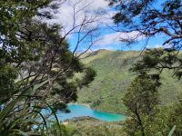 Wanderung auf dem Queen Charlotte Track  &ndash; &copy; Monika Cortese (Eberhardt TRAVEL)