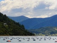 Muschelfarm  &ndash; &copy; Monika Cortese (Eberhardt TRAVEL)