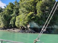 Muscheln an der gesamten Küste  &ndash; &copy; Monika Cortese (Eberhardt TRAVEL)